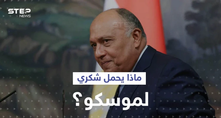بعد ساعات من لقاء بلينكن.. وزير الخارجية المصري يتوجه لموسكو فماذا يحمل؟