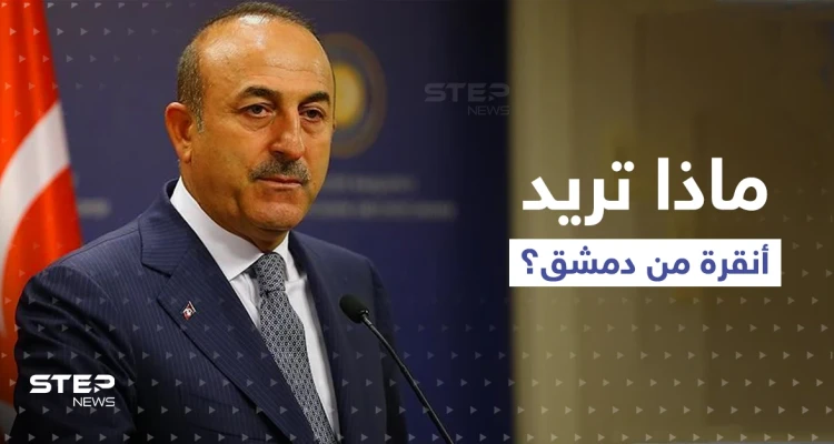 وزير الخارجية التركي يتحدث عن تقسيم سوريا.. ويدعو النظام السوري والمعارضة للاتفاق على أمرين