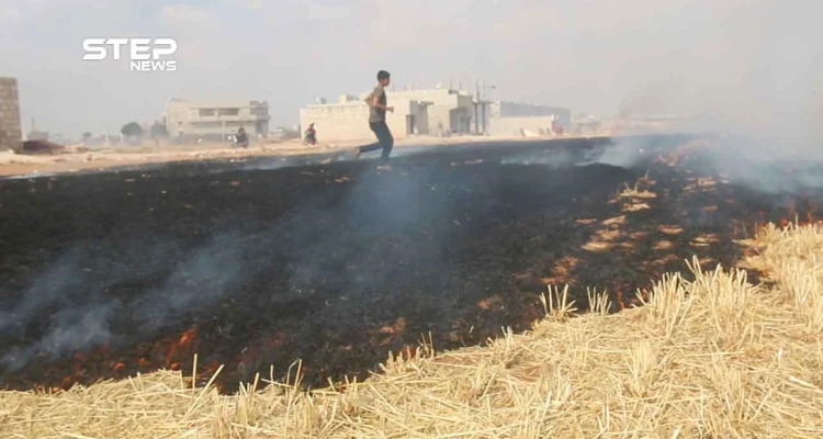 بالفيديو .. مشاهد من اشتعال الحرائق بالأراضي الزراعية في مدينة مارع شمال حلب إثر قصفها من قبل ميليشيا الوحدات الكردية