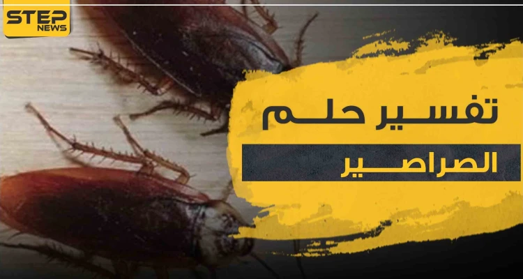 تفسير حلم الصراصير في البيت لجميع أفراد الأسرة .. 4 تفاسير لرؤية المرأة له