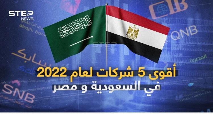 أقوى 5 شركات لعام 2022 في السعودية ومصر