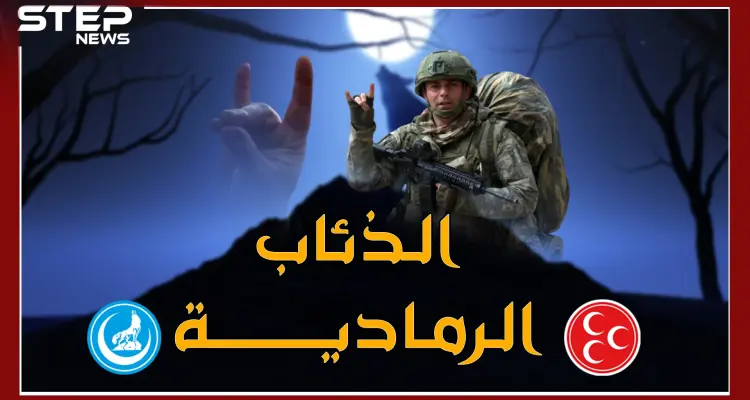 "الذئاب الرمادية" التركية تظهر علناً في سوريا لتذيق النظام السوري ما أذاقته للأكراد: أخبار