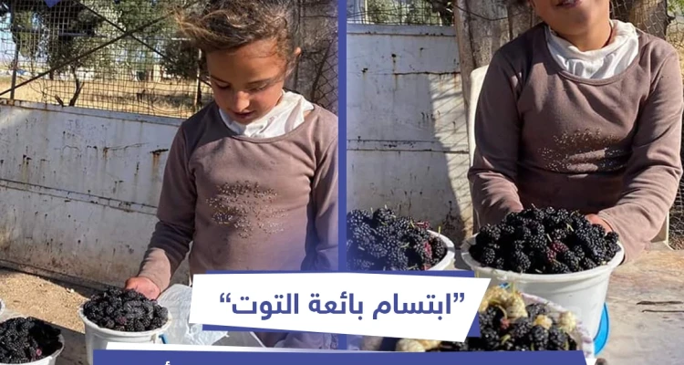 ابتسام ... بائعة التوت الجميلة