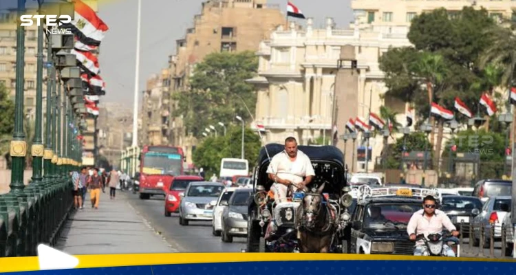 الكشف عن تفاصيل أكبر صفقة في تاريخ مصر.. عشرات ملايين الدولارات
