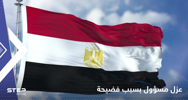 حمالة صدر تُسقط مسؤول مصري من منصب رفيع!