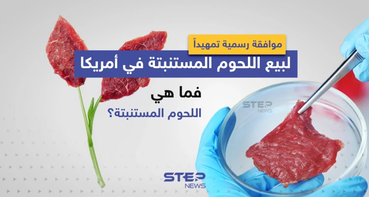 موافقة رسمية تمهيداً لبيع اللحوم المستنبتة في أمريكا ... فما هي اللحوم المستنبتة؟