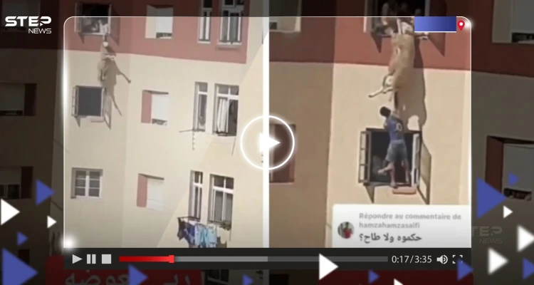 غداة عيد الأضحى.. مغامرة لإنقاذ خروف قفز من نافذة أحد المباني وظل معلقاً في الهواء (فيديو)