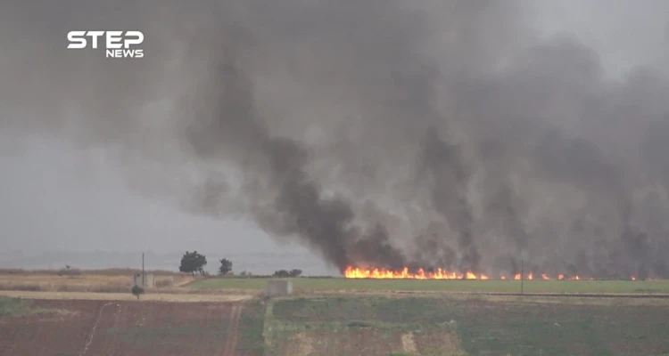 حرائق تطال الأراضي الزراعية شمالي حماة جراء قصف قوات النظام وروسيا: أخبار