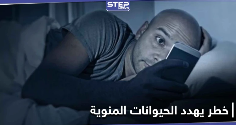 الحيوانات المنوية في خطر.. دراسة تكشف أثر استخدام الهواتف ليلاً