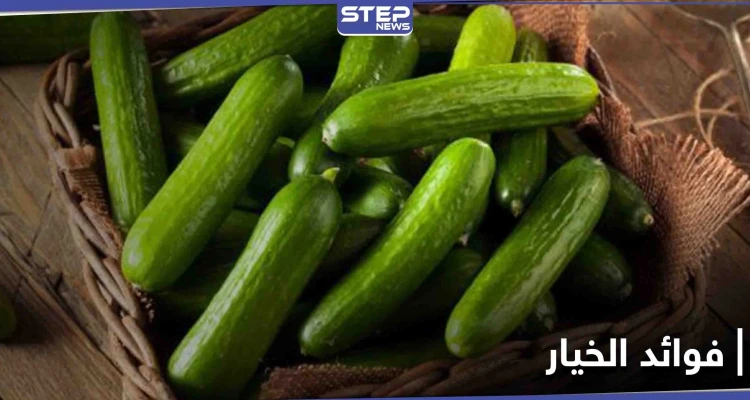 فوائد الخيار لجسم الإنسان.. وماذا يسبب تناوله لمرضى السكري