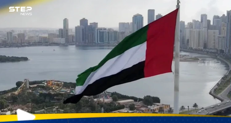 الإمارات تتحدث عن السبيل الوحيد لتجاوز التصعيد في اليمن