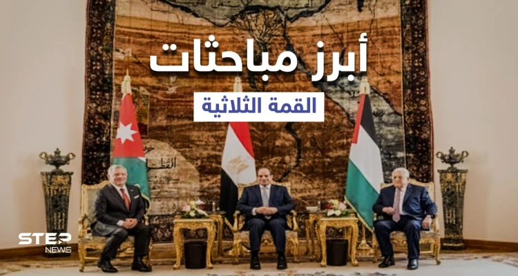 تفاهمات "هامة" ما قبل القمة... أبرز ما ناقشه الرئيس المصري مع الملك الأردني حول فلسطين