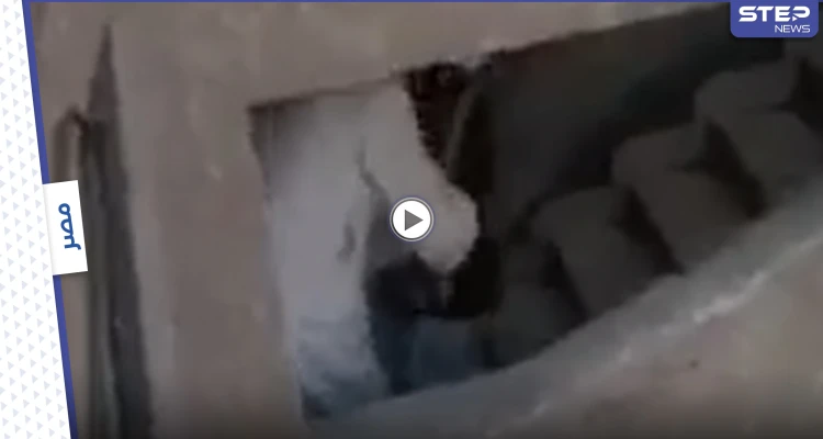 القبض على جزار النهضة الذي ضرب وسحل سيدة.. والأخيرة تكشف تفاصيل الحادثة (فيديو)