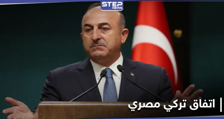 الخارجية التركية تلمح إلى إمكانية توقيع أنقرة والقاهرة اتفاقية لترسيم الحدود البحرية: أخبار