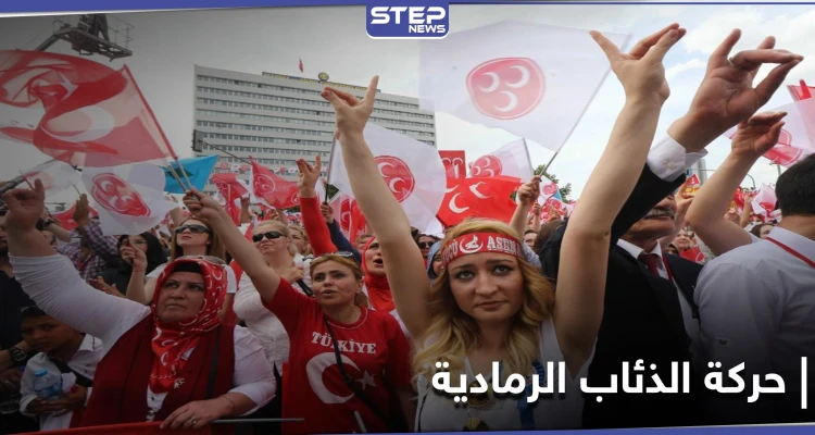 عدد منتسبيها بالآلاف.. مطالبات ألمانية لحظر حركة الذئاب الرمادية التركية