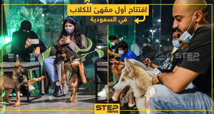 افتتاح أول مقهى للكلاب في السعودية