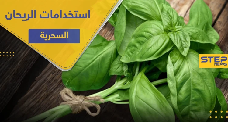 5 استخدامات سحرية لـ الريحان لتحافظ على صحتك