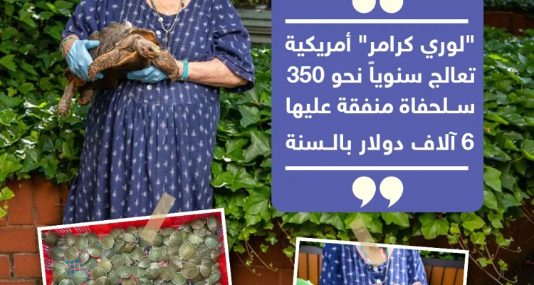 سبعينية تعالج السلاحف بمنزلها