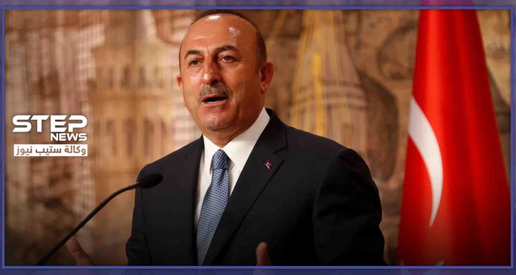 أوغلو يكشف عن نداءات وجهها أردوغان لبوتين حول إدلب.. ومفادها