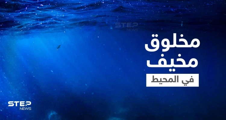 مخلوق غريب بفك مزدوج وجزء من القرش وآخر كالأفعى يظهر في المحيط الهادئ ويثير الرعب (صورة)