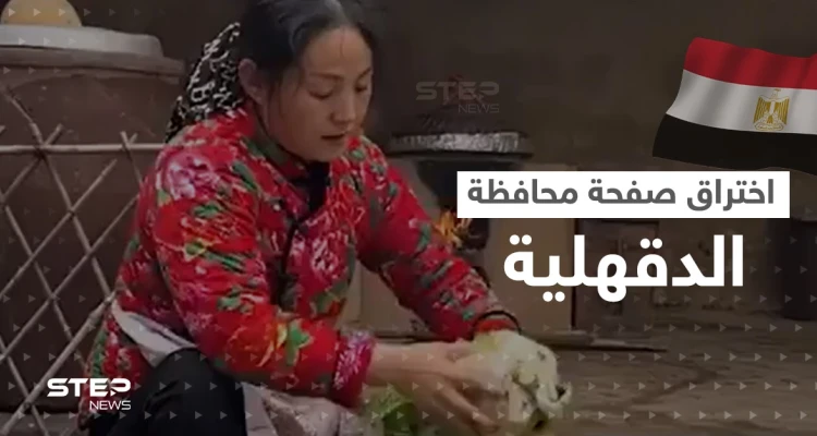 اختراق الصفحة الرسمية لـ محافظة الدقهلية.. ونشر فيديو غريب بداخلها يثير سخرية المصريين