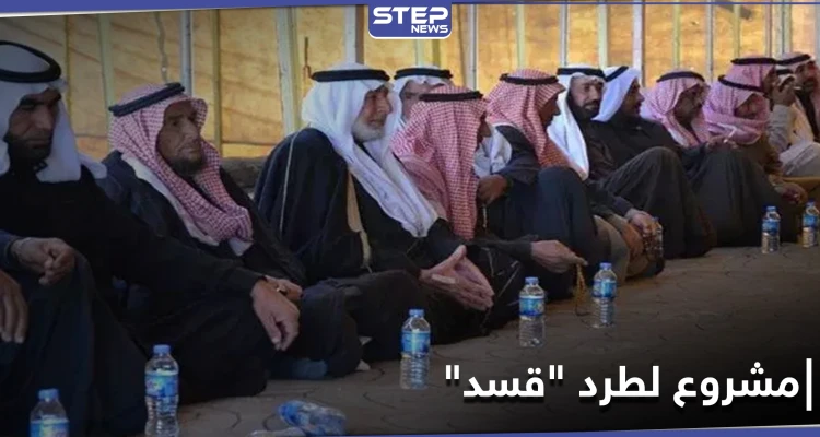 مشروع إيراني جديد لطرد "قسد" من ديرالزور.. و"مسد" تتخوف من عملٍ عسكري مرتقب