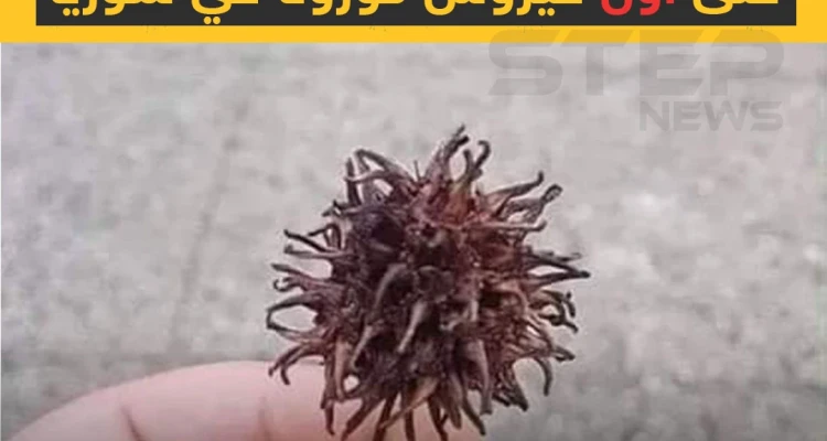 فيروس كورونا في سوريا