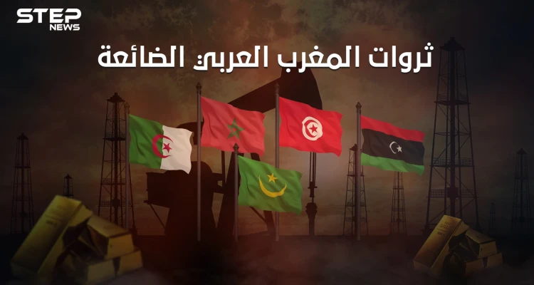 نهضة كُبرى يمكنها انتشاله من الفقر والبطالة.. المغرب العربي وثرواته الضائعة
