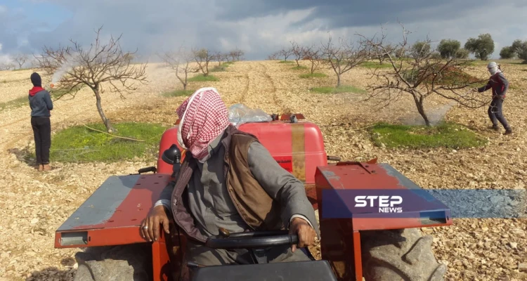 رش أشجار الفستق الحلبي بالزيت الشتوي والمبيدات الحشرية بريف إدلب