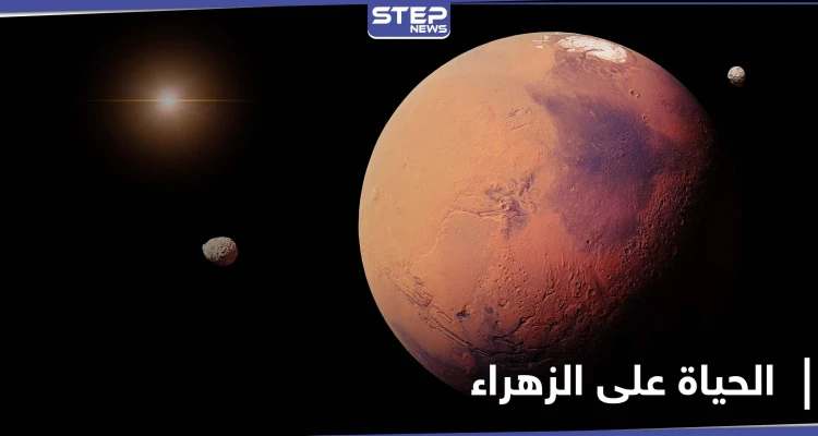 مؤشرات توحي بوجود الحياة على كوكب الزهراء
