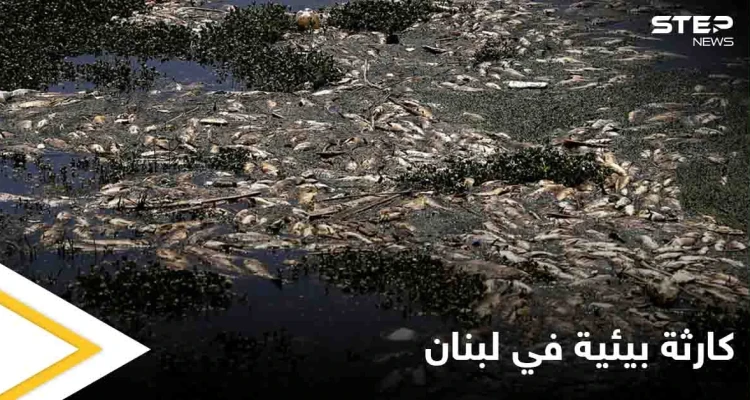 كارثة تهدد حياة اللبنانيين.. آلاف الأسماك النافقة تحمل فيروساً خطيراً تتكدس قرب الليطاني وتحذيرات من الجهات المعنية