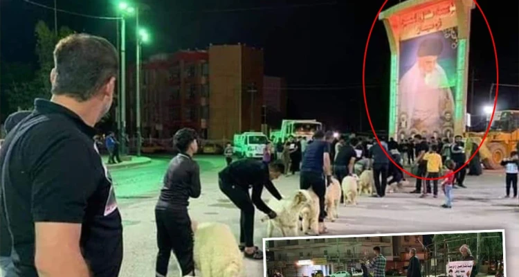 أنصار مقتدى الصدر يتصدون لفايروس كورونا بنحر الخراف