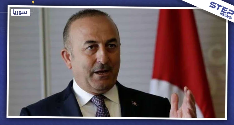 أوغلو: الهجوم على إدلب توقف بفضل جهود أردوغان