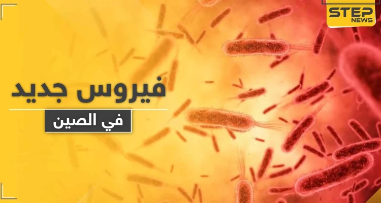 لا علاج له منذ أعوام.. فيروس جديد في الصين شديد العدوى يتسبب بمقتل 7 أشخاص