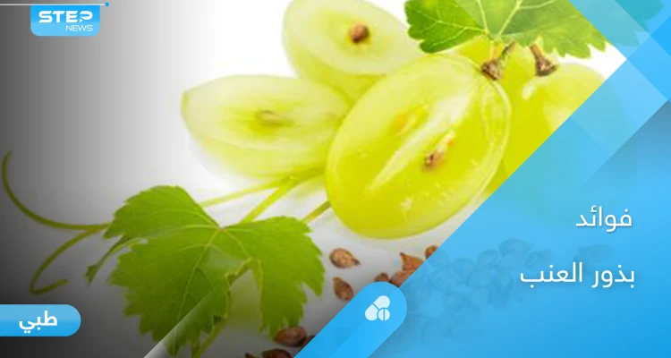 بذور العنب.. تحارب السرطان والأمراض المزمنة إليك أهم فوائدها