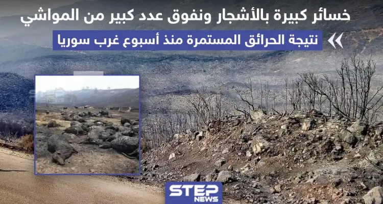 خسائر كبيرة بالأشجار و المواشي جراء الحرائق المستمرة منذ أسبوع غرب سوريا: أخبار