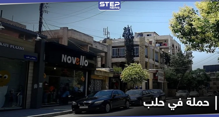"من الآخر بدنا مصاري".. عناصر الجمارك التابعة للنظام السوري تطلق حملة في مدينة حلب