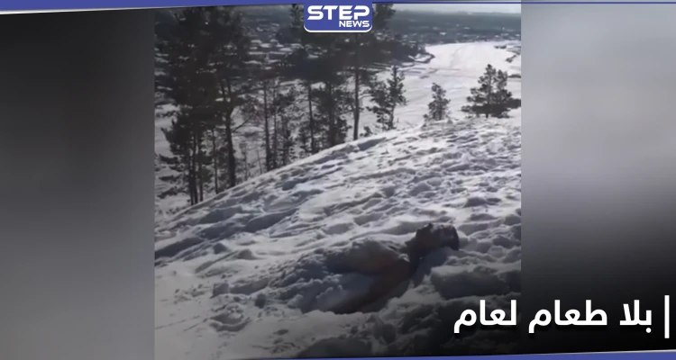 بالاعتماد على عقله الباطني..  شاب روسي يعيش بلا طعام وشراب لعام كامل