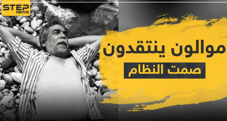 مكتوفي الأيدي والواقع "صومالي".. نزار الفرا وأيمن رضا ينتقدون نظام الأسد