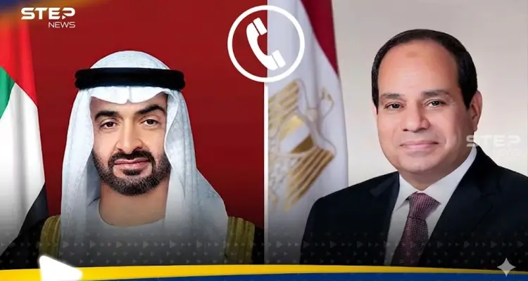 صورة تجمع بين الرئيس السيسي والشيخ محمد بن زايد