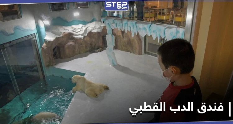 فندق الدب القطبي الأول في العالم يستقبل زواره في الصين