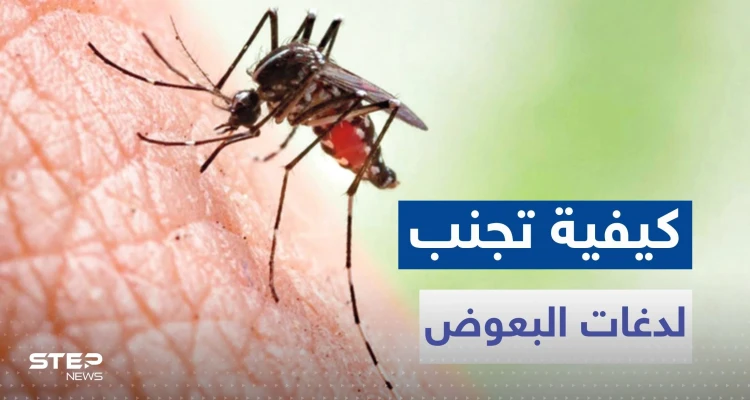 لتجنب لدغات البعوض مع دخول فصل الصيف.. تناول هذه الأعشاب والتوابل