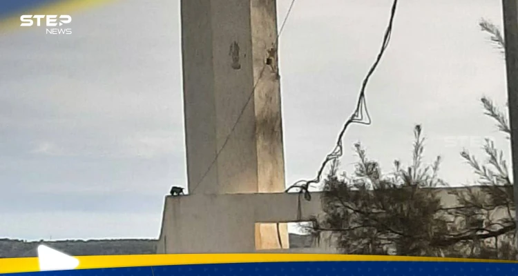 شاهد|| قصف إسرائيلي يستهدف مسجدا في بلدة العباسية جنوبي لبنان