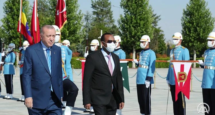 أردوغان يكشف عن تحركٍ نجح فيه بإثيوبيا.. وآبي أحمد يمدح تركيا بجملتين