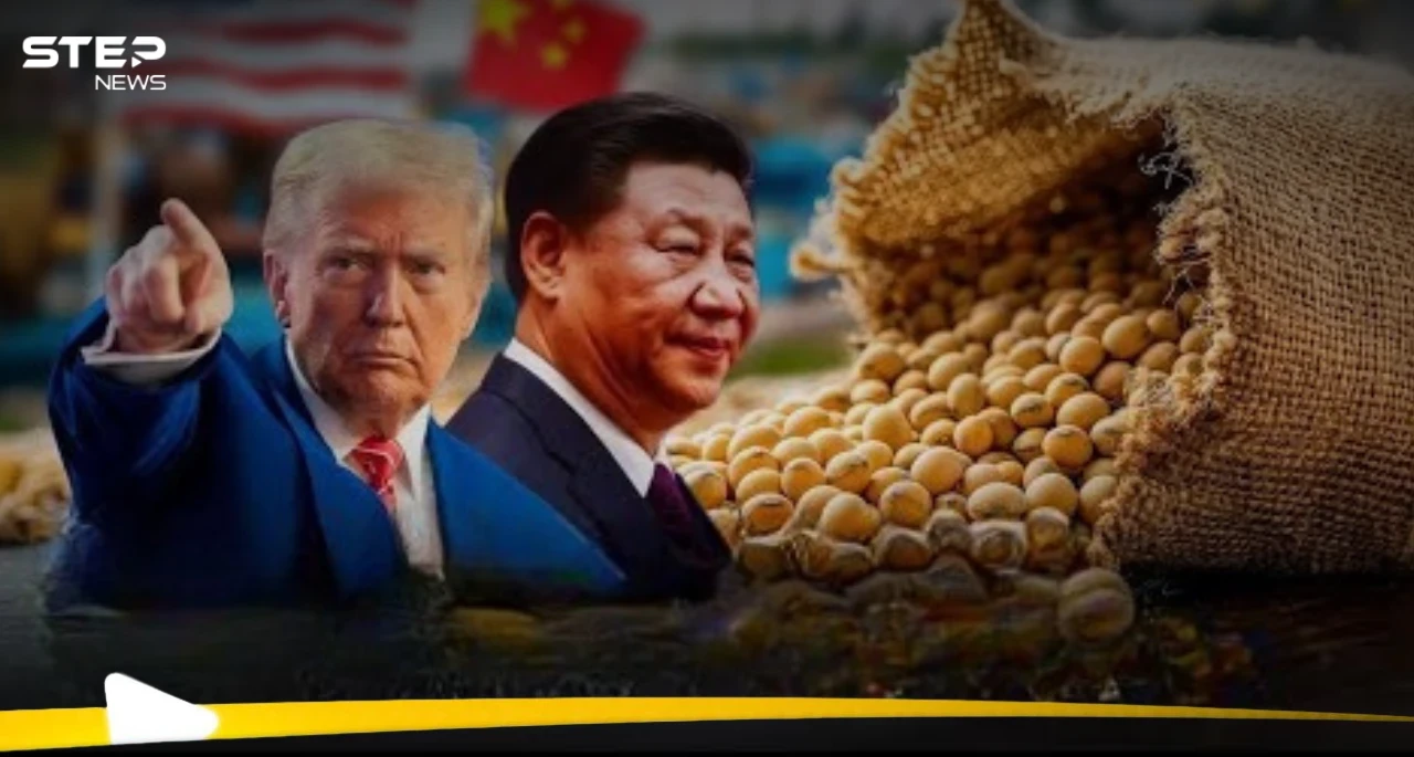 فول الصويا.. البذرة التي تُشعل حربًا جديدة بين الصين والولايات المتحدة: بكين