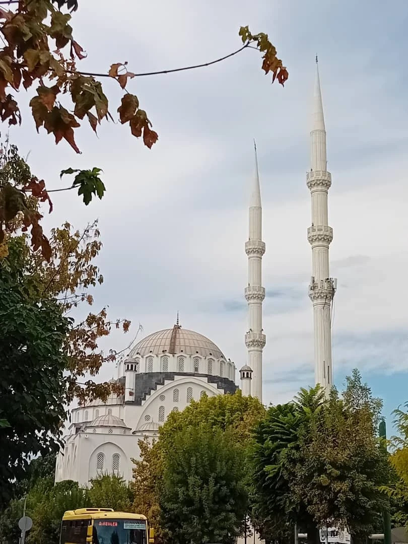 تركيا