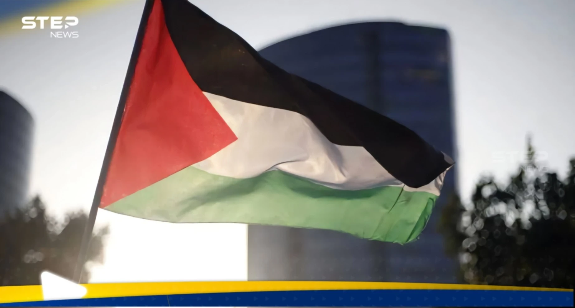 فرنسا تكشف أسماء 10 دول ستعترف بدولة فلسطين خلال مؤتمر نيويورك