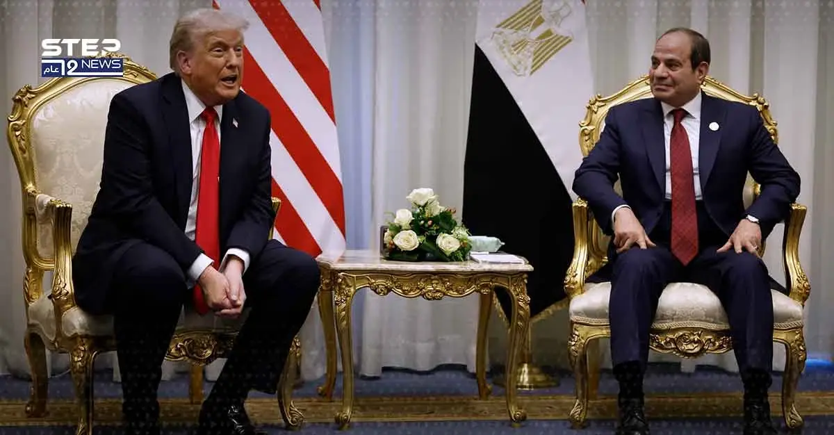 مصر تقوم حاليا بدراسة الوثائق والتصورات الواردة بشأن تشكيل المجلس