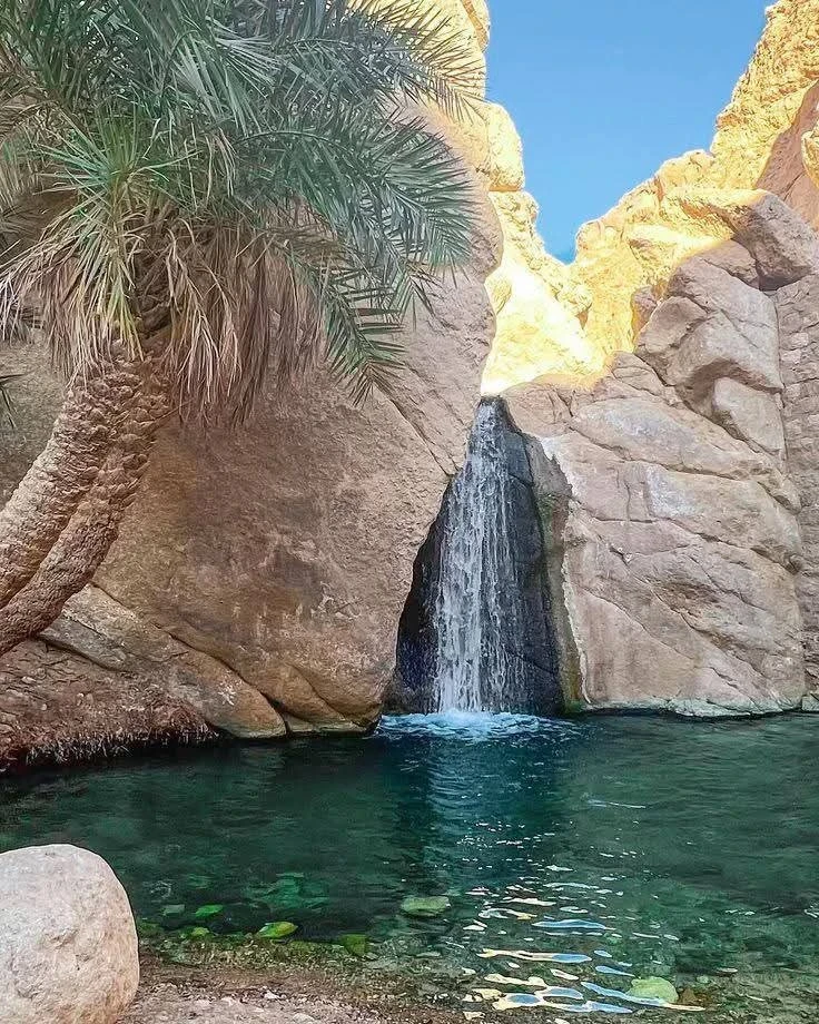 تونس