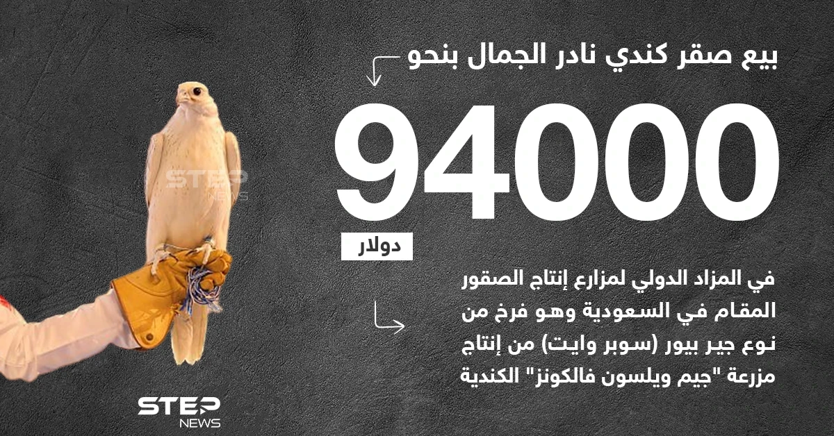 بيع صقر كندي نادر الجمال بمبلغ قياسي في السعودية